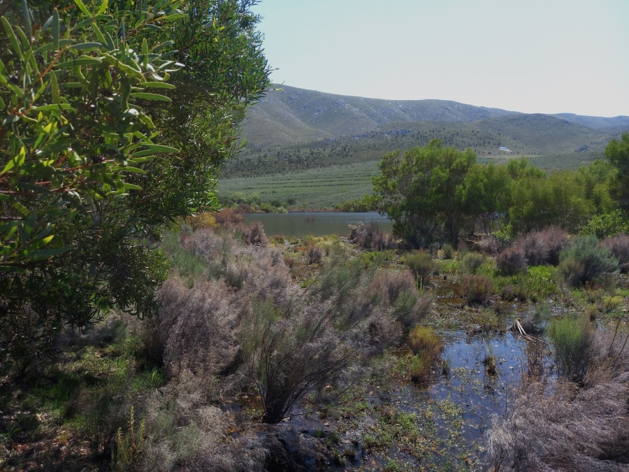 0 Bedroom Property for Sale in Uniondale Rural Western Cape